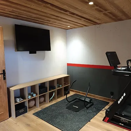 Le Stem Chalet Praz-sur-Arly
